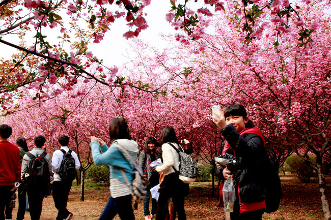 鄭州大學景色